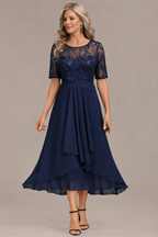 Elara Elegant Lace Sleeve Round Neck Dress